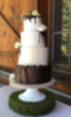 white wedding cake with tree bark fondant
