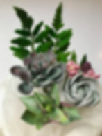 sugar-paste-succulents-dreamin-desserts