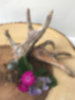 fondant-gum-paste-antlers-caketopper